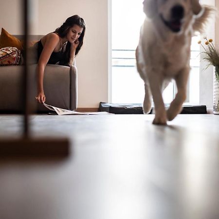 Sambucus Apartments -Premium Apartments For You And Your Dog Lana Buitenkant foto