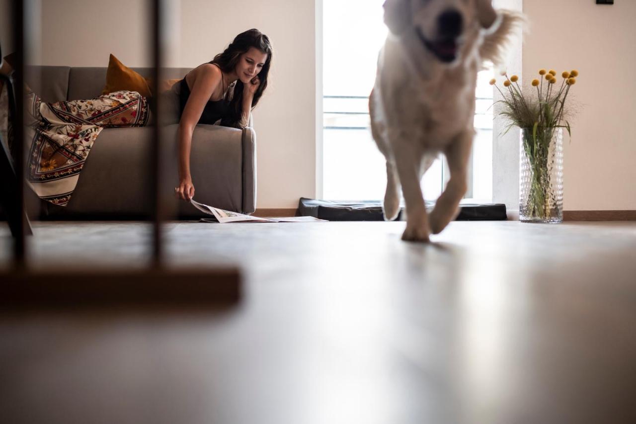 Sambucus Apartments -Premium Apartments For You And Your Dog Lana Buitenkant foto