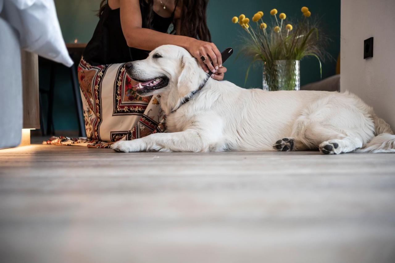 Sambucus Apartments -Premium Apartments For You And Your Dog Lana Buitenkant foto