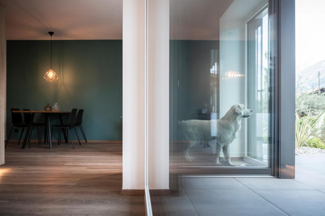 Sambucus Apartments -Premium Apartments For You And Your Dog Lana Buitenkant foto